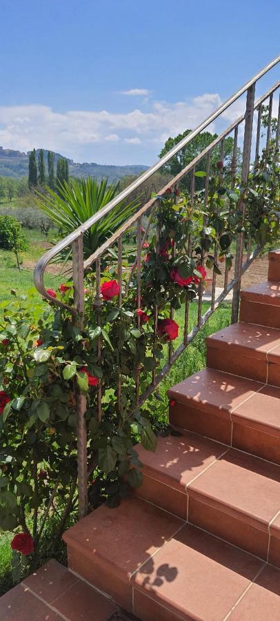 Casa Vacanze Cerreto 3 Miglianico Экстерьер фото